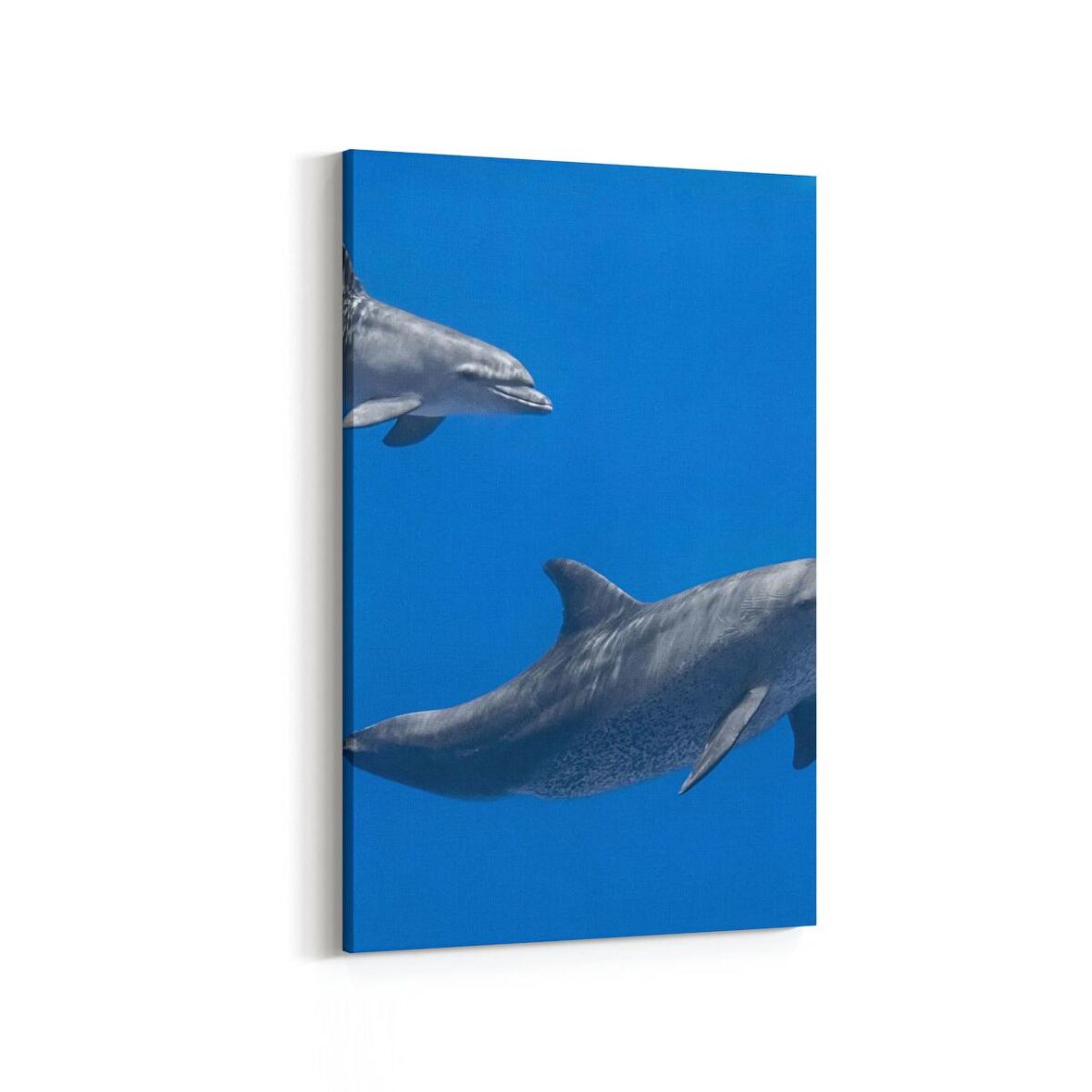 Olla 12951D Deniz / Okyanus Görseli Dikey Kanvas Tablo (Ölçü: 60X90)