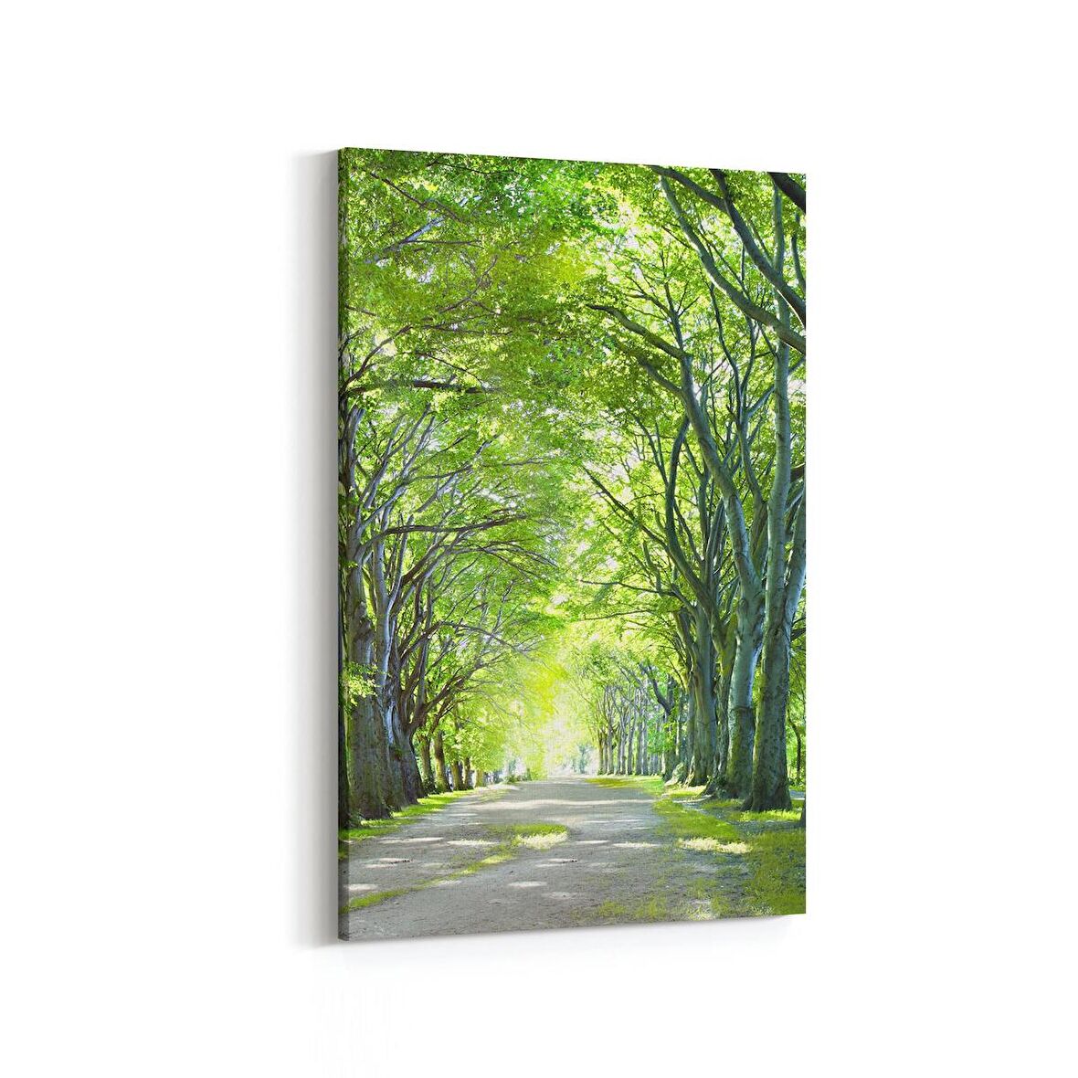 Olla 13234D Doğa / Manzara Görseli Dikey Kanvas Tablo (Ölçü: 20X30)