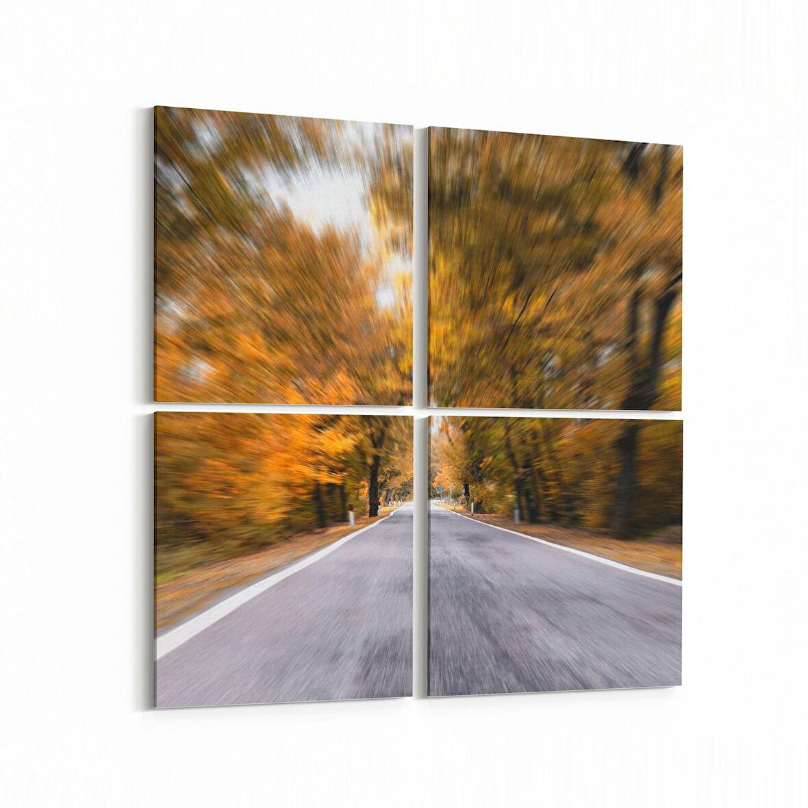 Olla 13306K4 Doğa / Manzara Görseli Kare 4'lü Kanvas Tablo (Ölçü: 65X65)