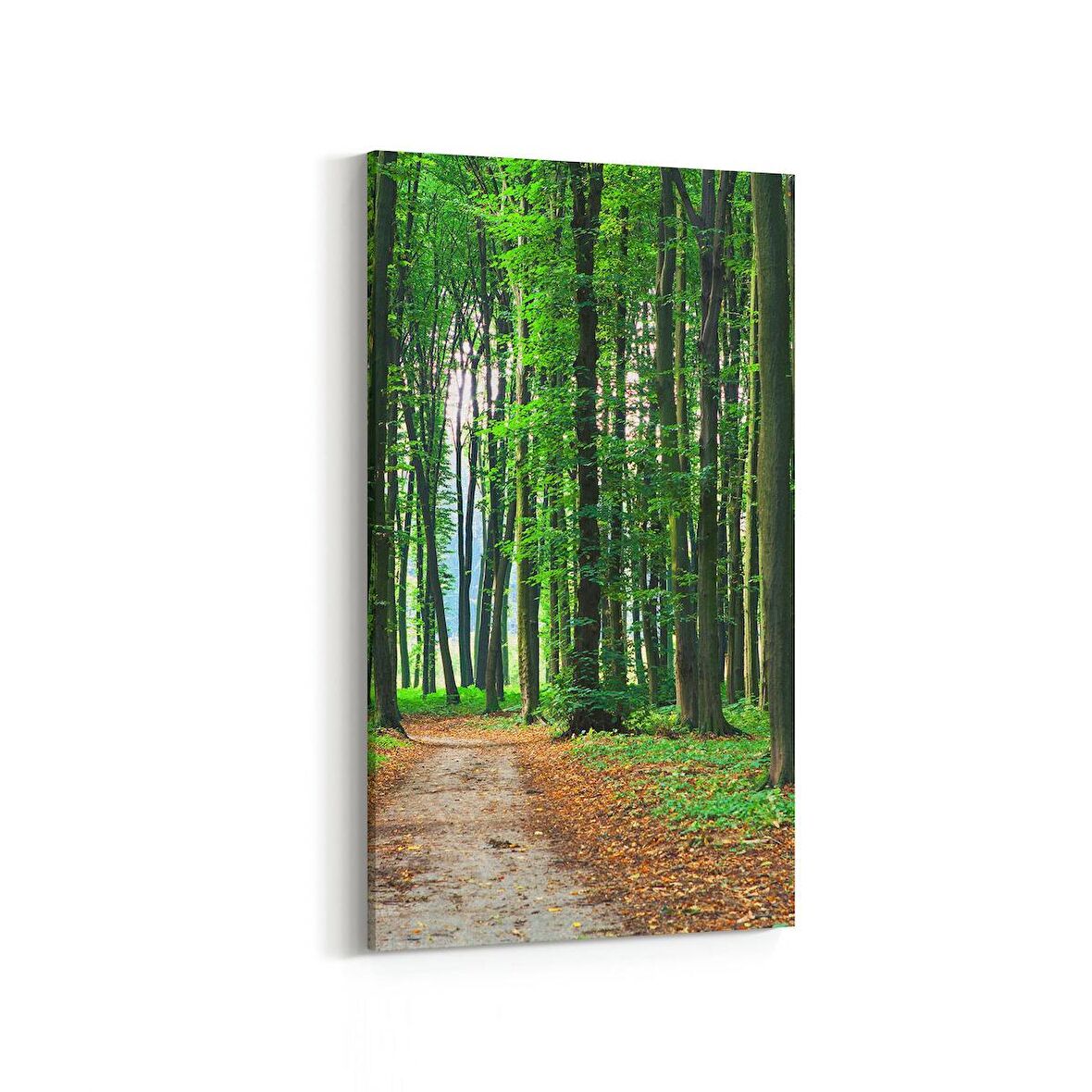 Olla 13870DD Doğa / Manzara Görseli Dikey Dar Kanvas Tablo (Ölçü: 30X60)