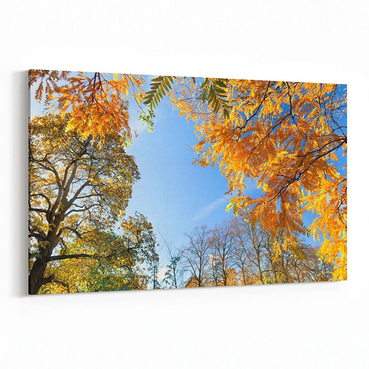 Olla 10500Y Ağaç Görseli Yatay Kanvas Tablo (Ölçü: 150X100)