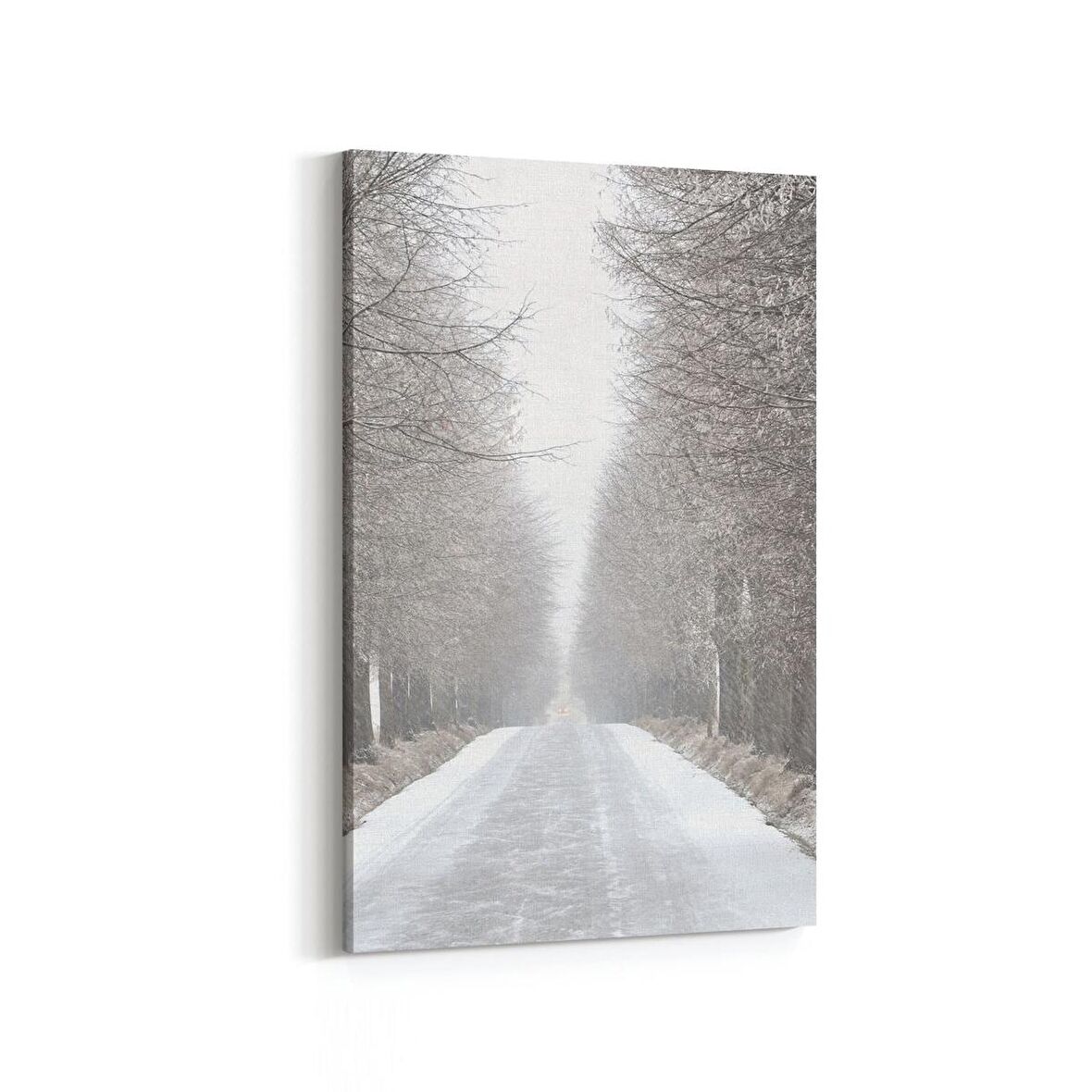 Olla 14403D Doğa / Manzara Görseli Dikey Kanvas Tablo (Ölçü: 60X90)