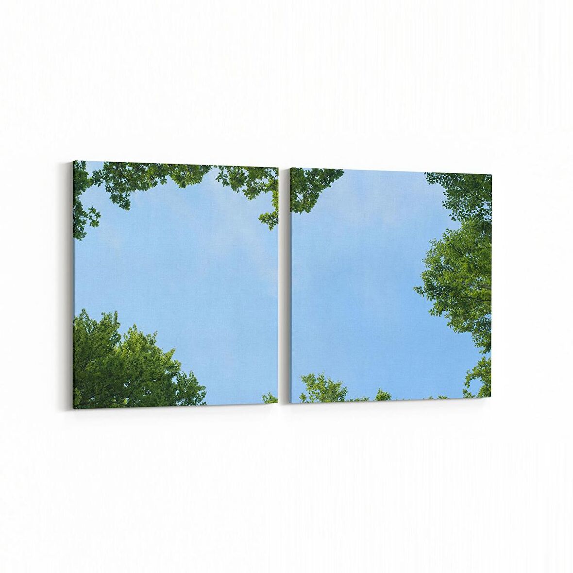 Olla 10763K2Y Ağaç Görseli Kare 2'li Yatay Kanvas Tablo (Ölçü: 65X30)