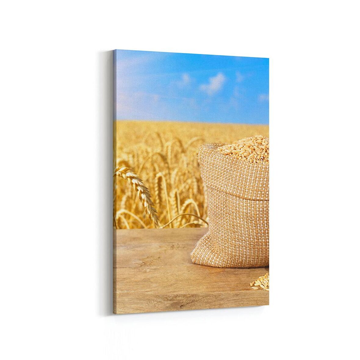 Olla 15235D Gıda Görseli Dikey Kanvas Tablo (Ölçü: 20X30)