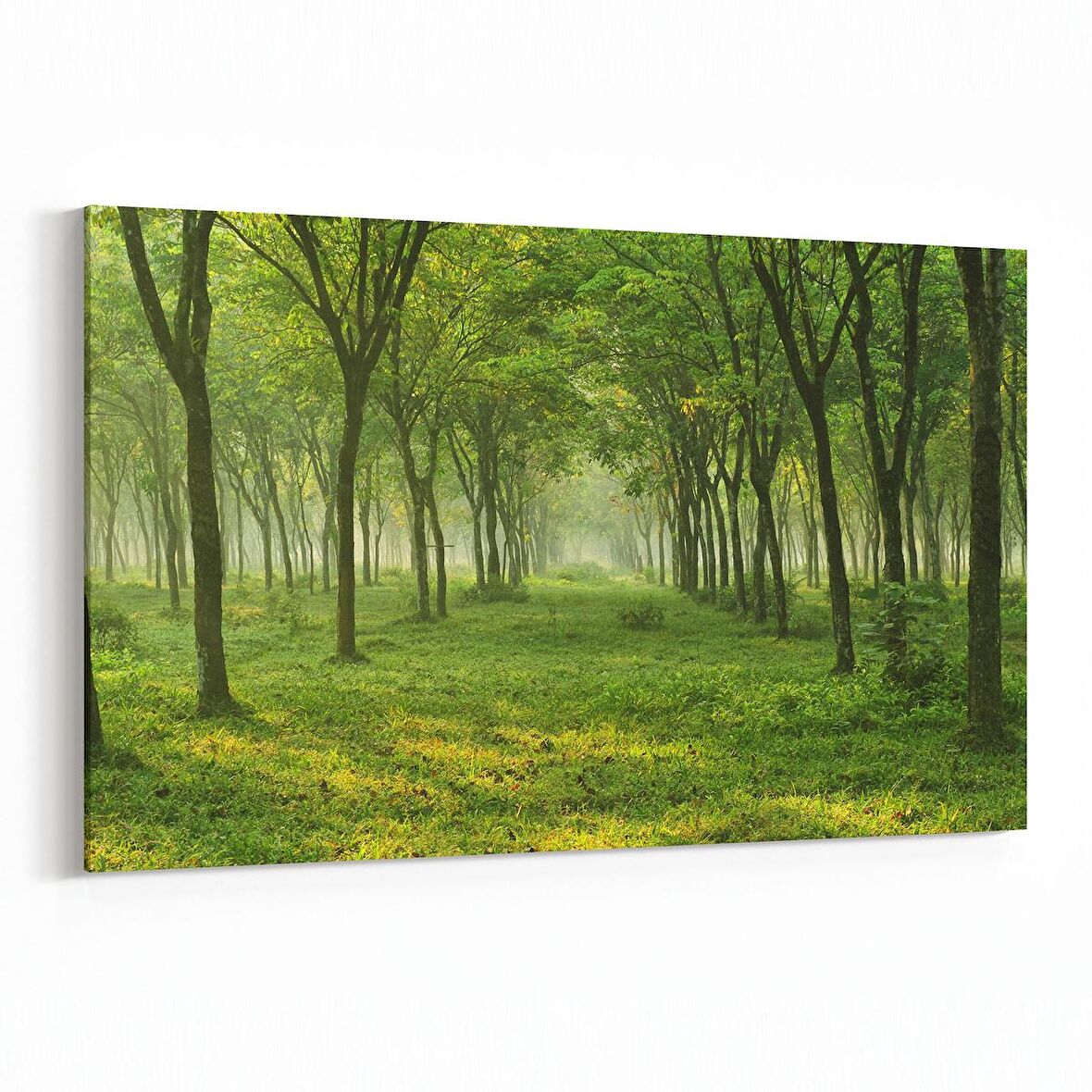 Olla 13535Y Doğa / Manzara Görseli Yatay Kanvas Tablo (Ölçü: 45X30)