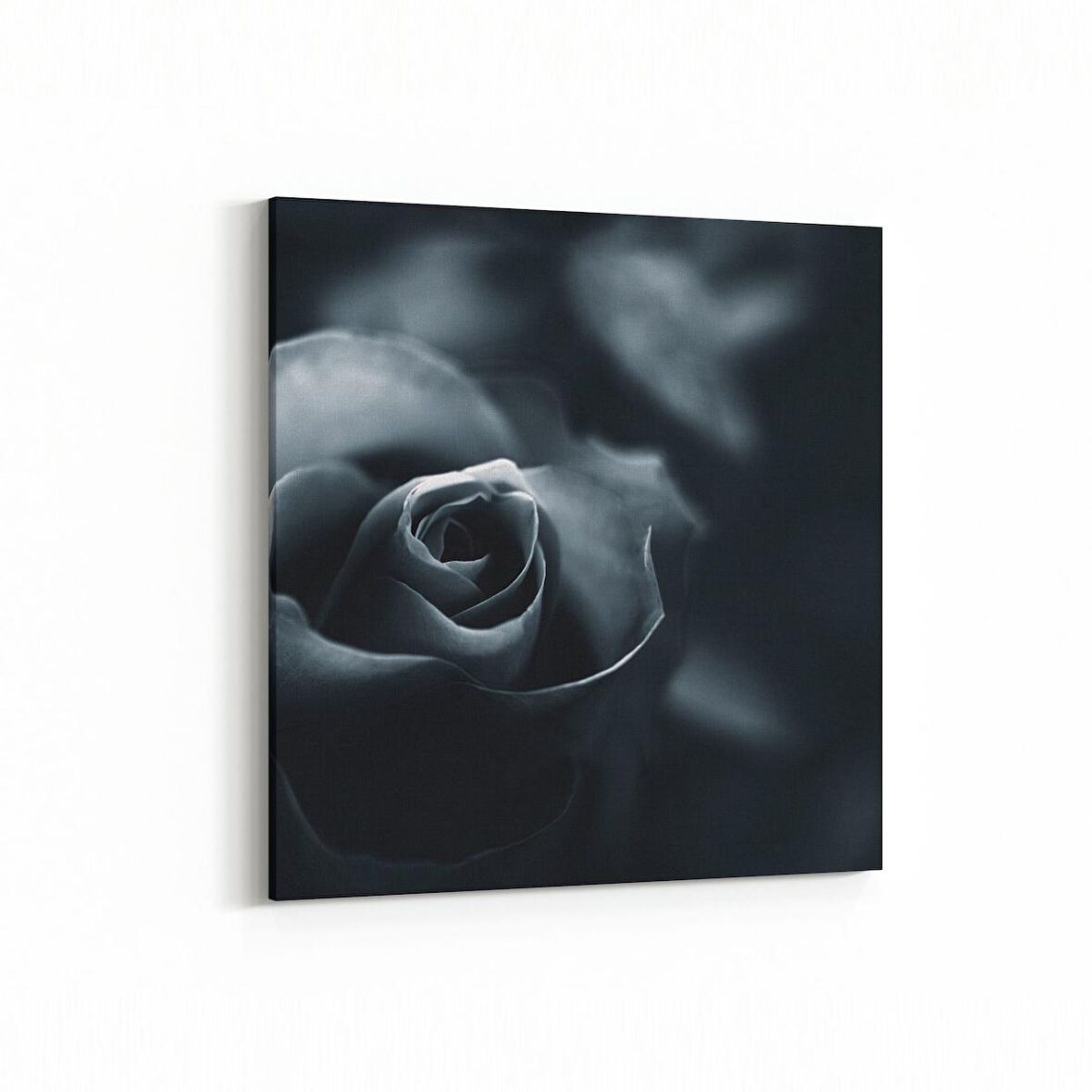 Olla 11577K Çiçek Görseli Kare Kanvas Tablo (Ölçü: 25X25)