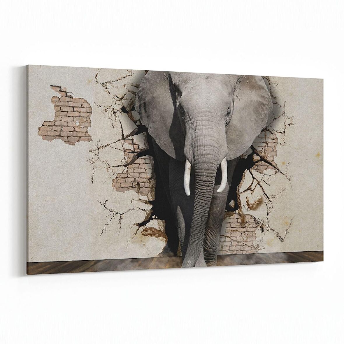 Olla 12497Y Hayvanlar Alemi Görseli Yatay Kanvas Tablo (Ölçü: 45X30)