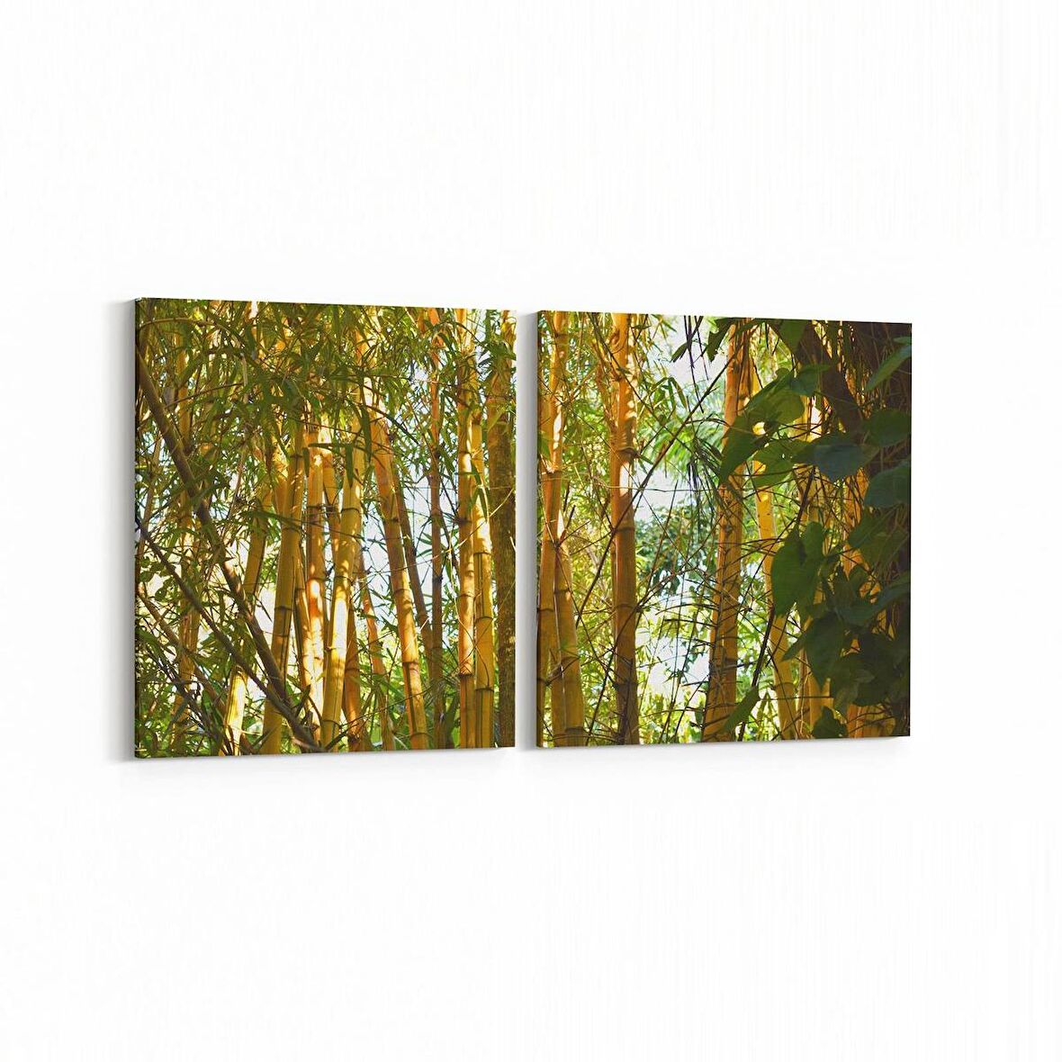 Olla 13247K2Y Doğa / Manzara Görseli Kare 2'li Yatay Kanvas Tablo (Ölçü: 145X70)
