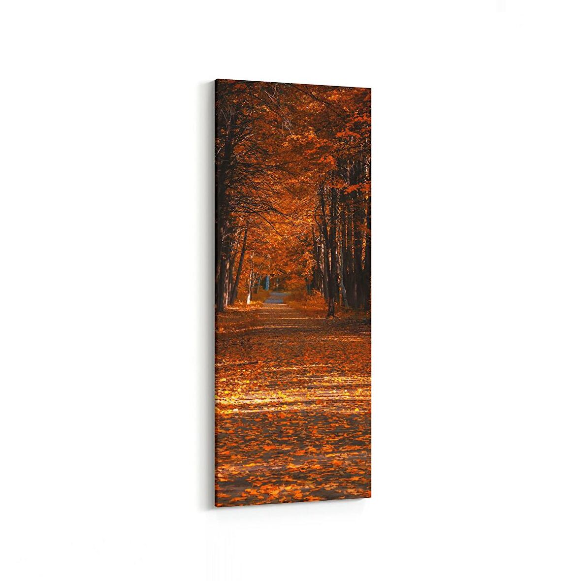 Olla 13749DI Doğa / Manzara Görseli Dikey İnce Kanvas Tablo (Ölçü: 40X120)