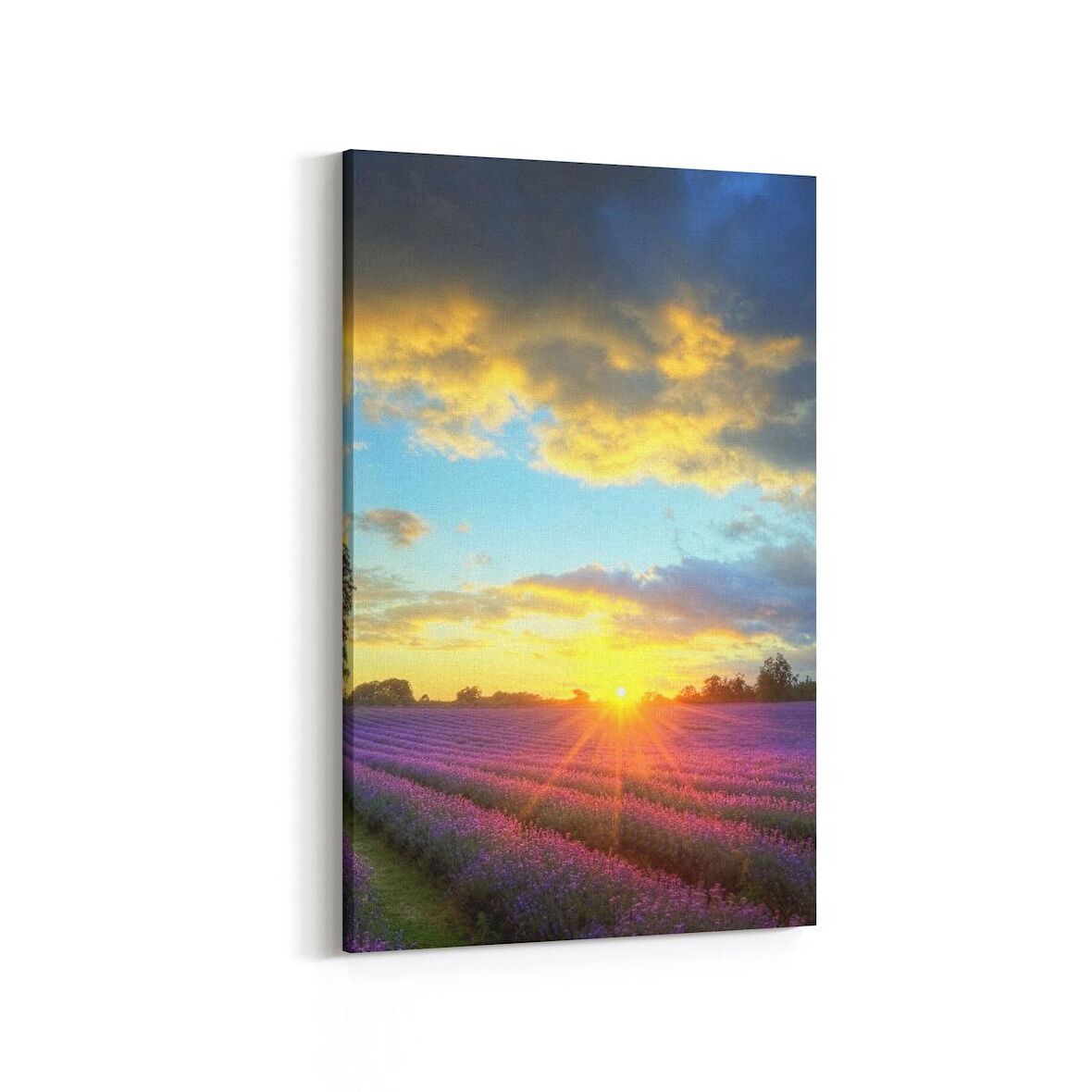 Olla 16112D Günbatımı Görseli Dikey Kanvas Tablo (Ölçü: 80X120)