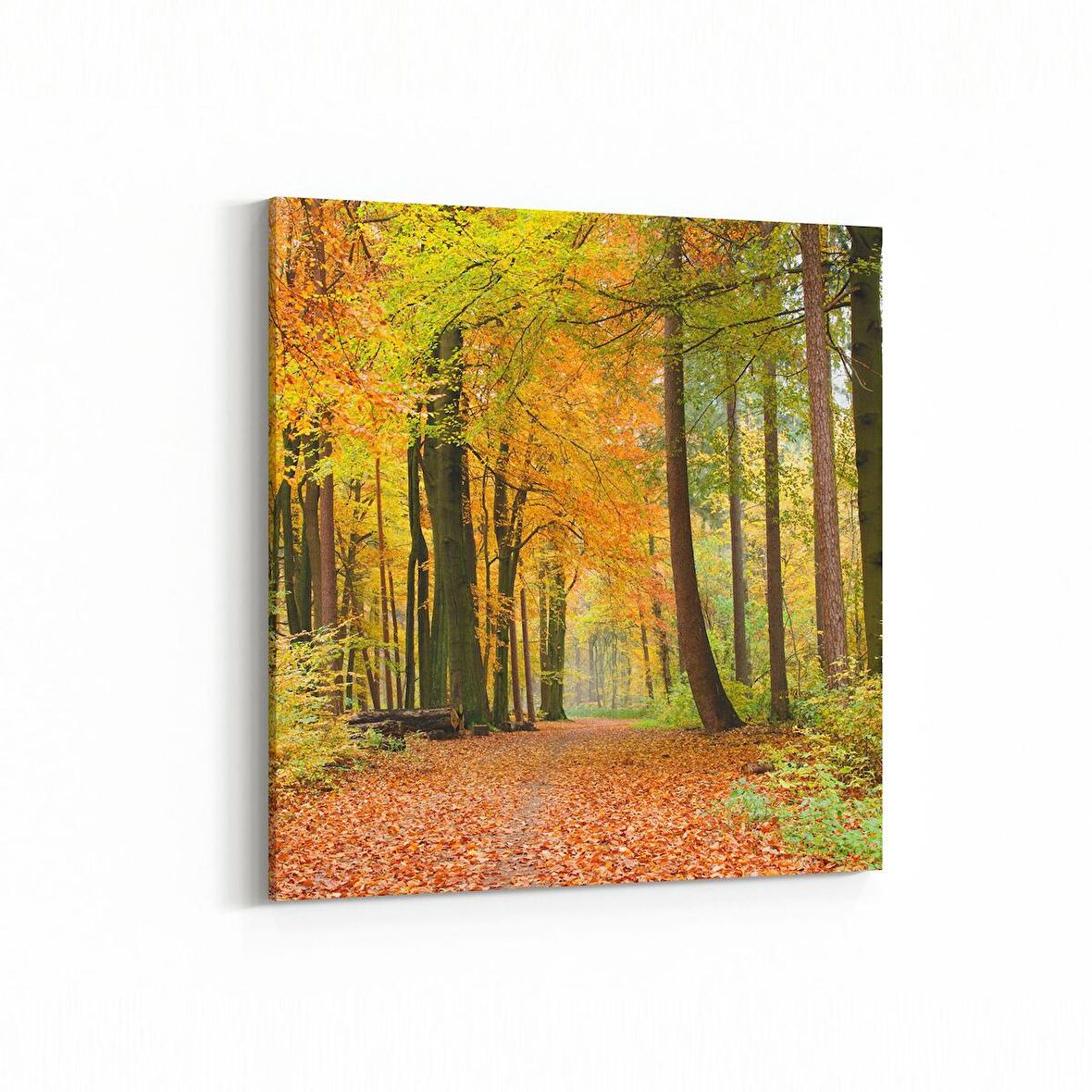 Olla 14341K Doğa / Manzara Görseli Kare Kanvas Tablo (Ölçü: 25X25)