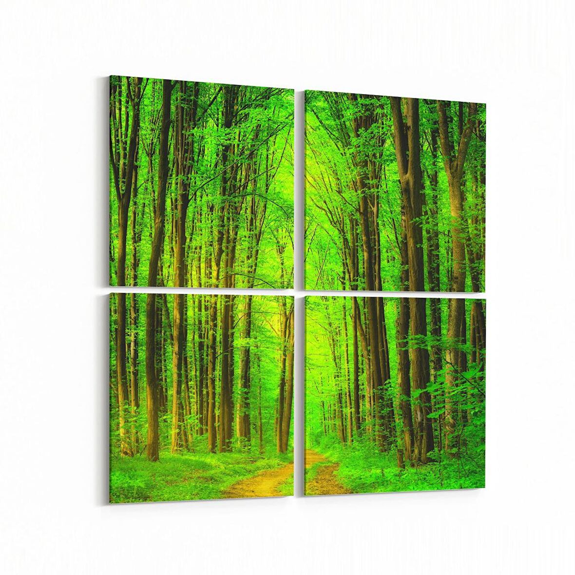 Olla 14469K4 Doğa / Manzara Görseli Kare 4'lü Kanvas Tablo (Ölçü: 145X145)