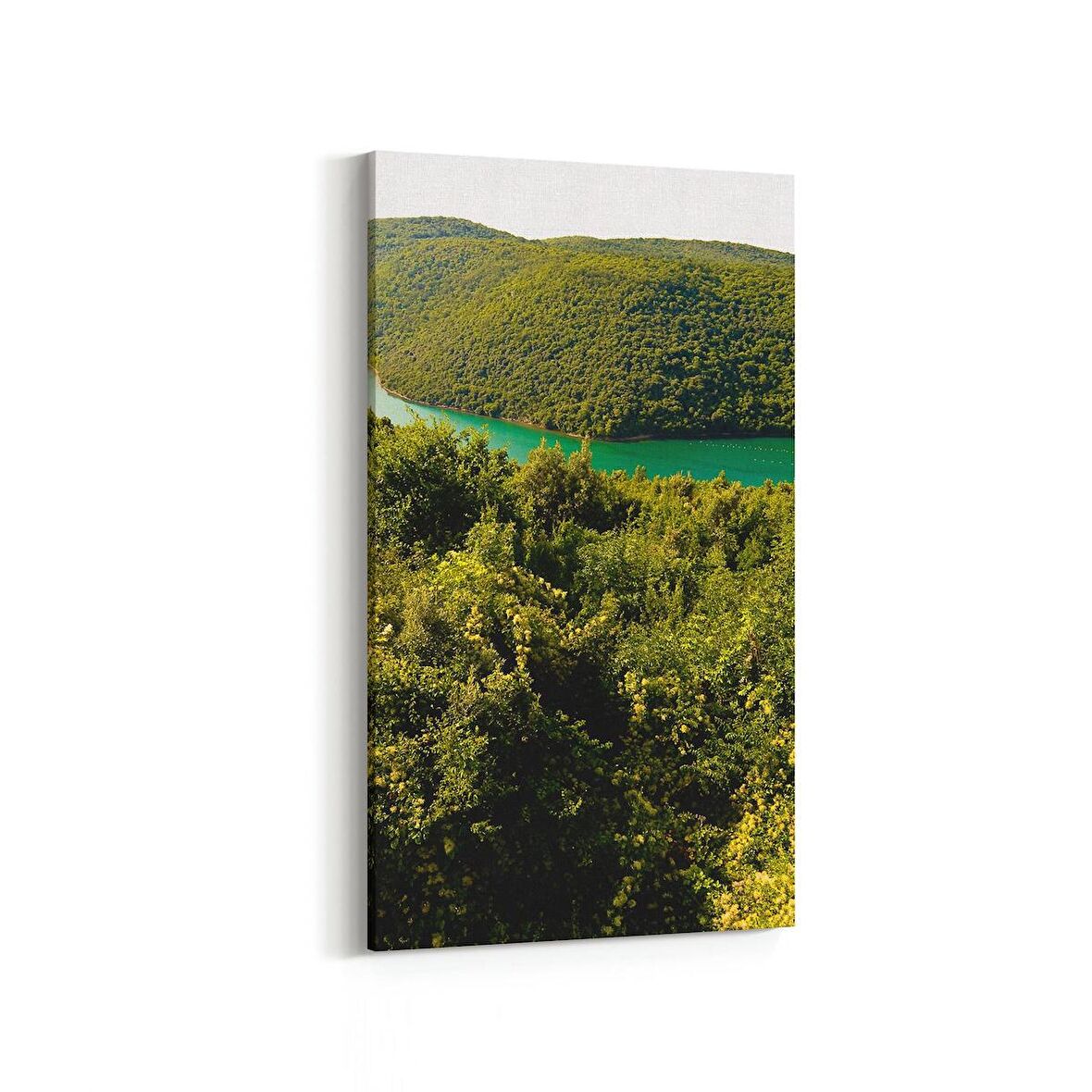 Olla 13698DD Doğa / Manzara Görseli Dikey Dar Kanvas Tablo (Ölçü: 40X80)