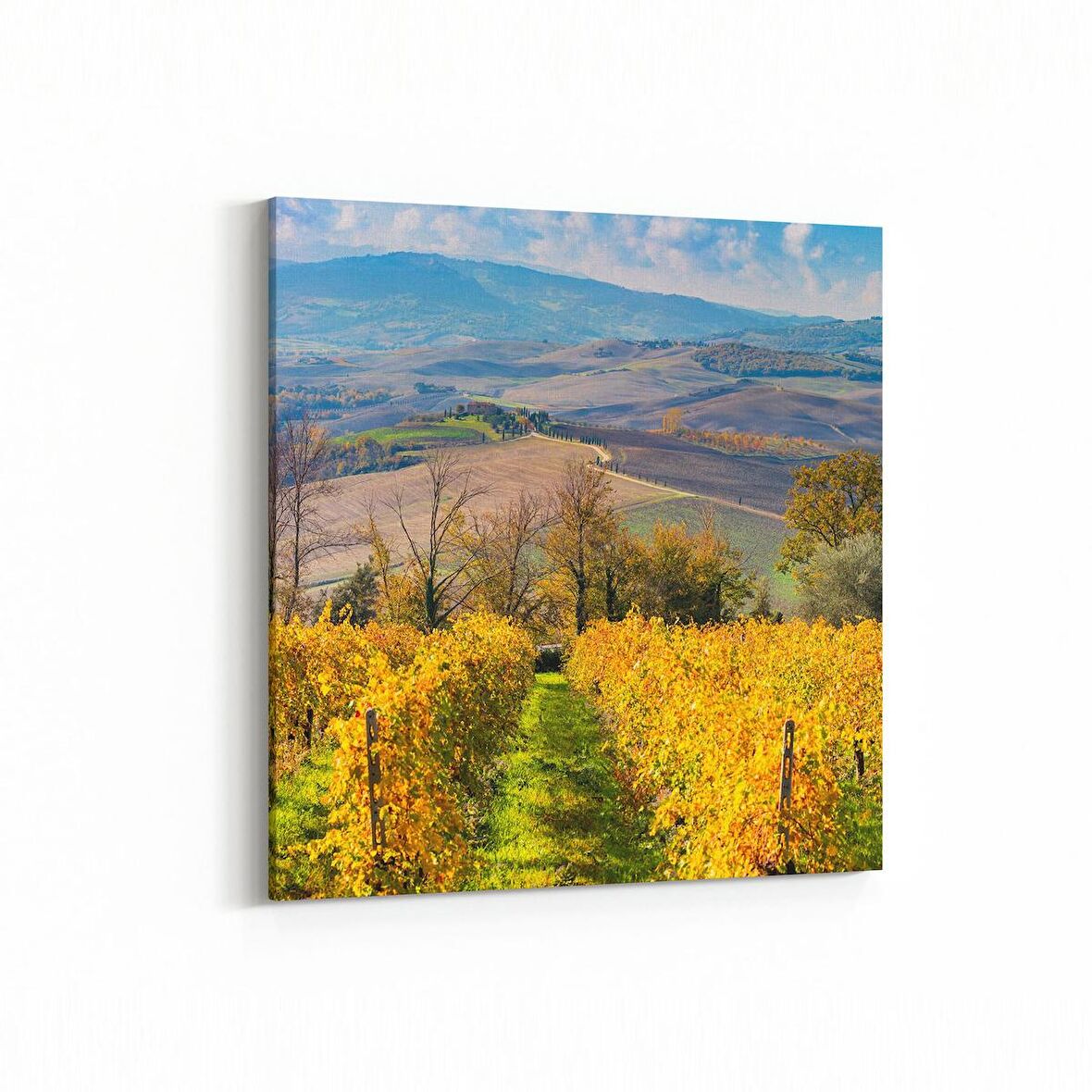 Olla 14170K Doğa / Manzara Görseli Kare Kanvas Tablo (Ölçü: 100X100)