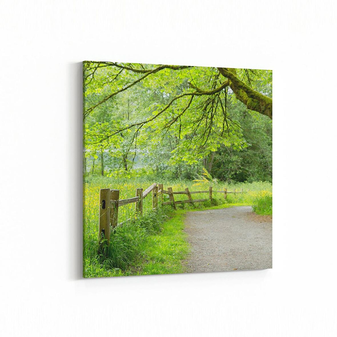 Olla 13448K Doğa / Manzara Görseli Kare Kanvas Tablo (Ölçü: 25X25)