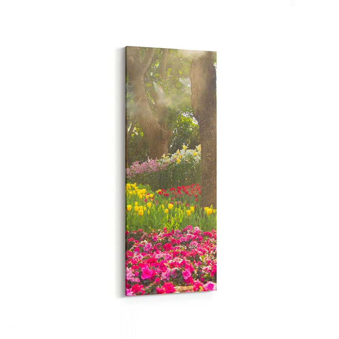Olla 13942DI Doğa / Manzara Görseli Dikey İnce Kanvas Tablo (Ölçü: 40X120)