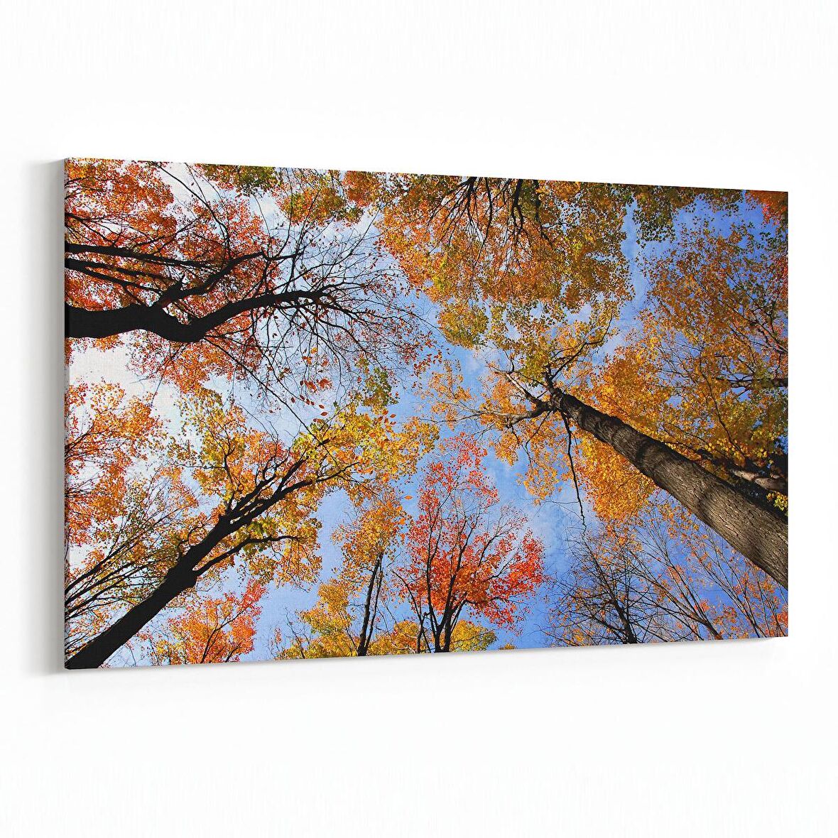 Olla 10692Y Ağaç Görseli Yatay Kanvas Tablo (Ölçü: 120X80)