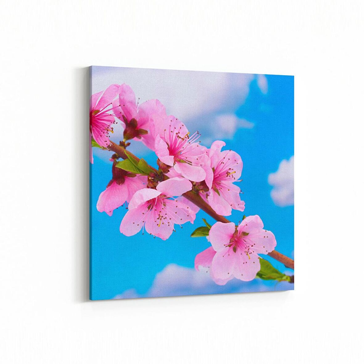 Olla 10469K Ağaç Görseli Kare Kanvas Tablo (Ölçü: 60X60)