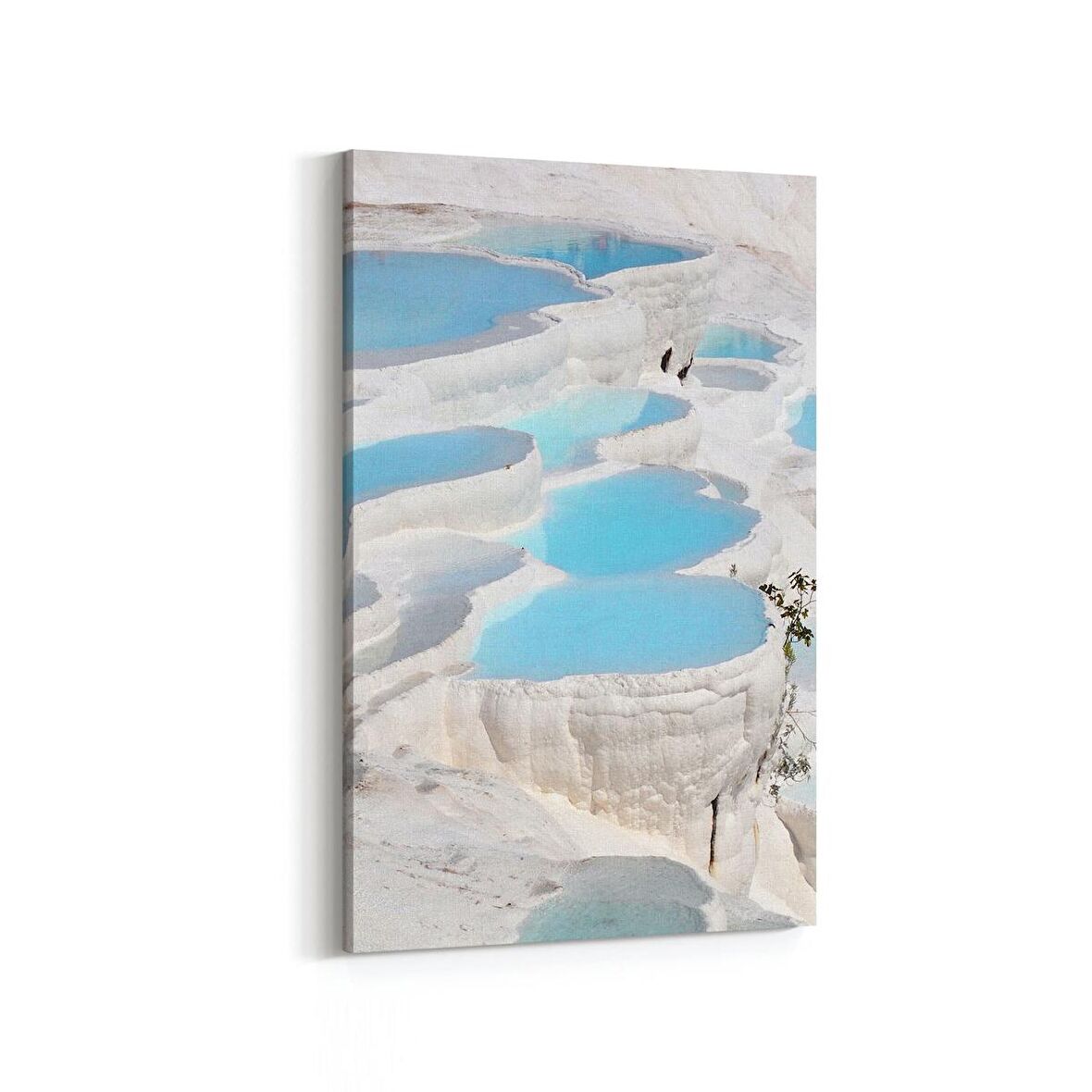 Olla 13879D Doğa / Manzara Görseli Dikey Kanvas Tablo (Ölçü: 60X90)