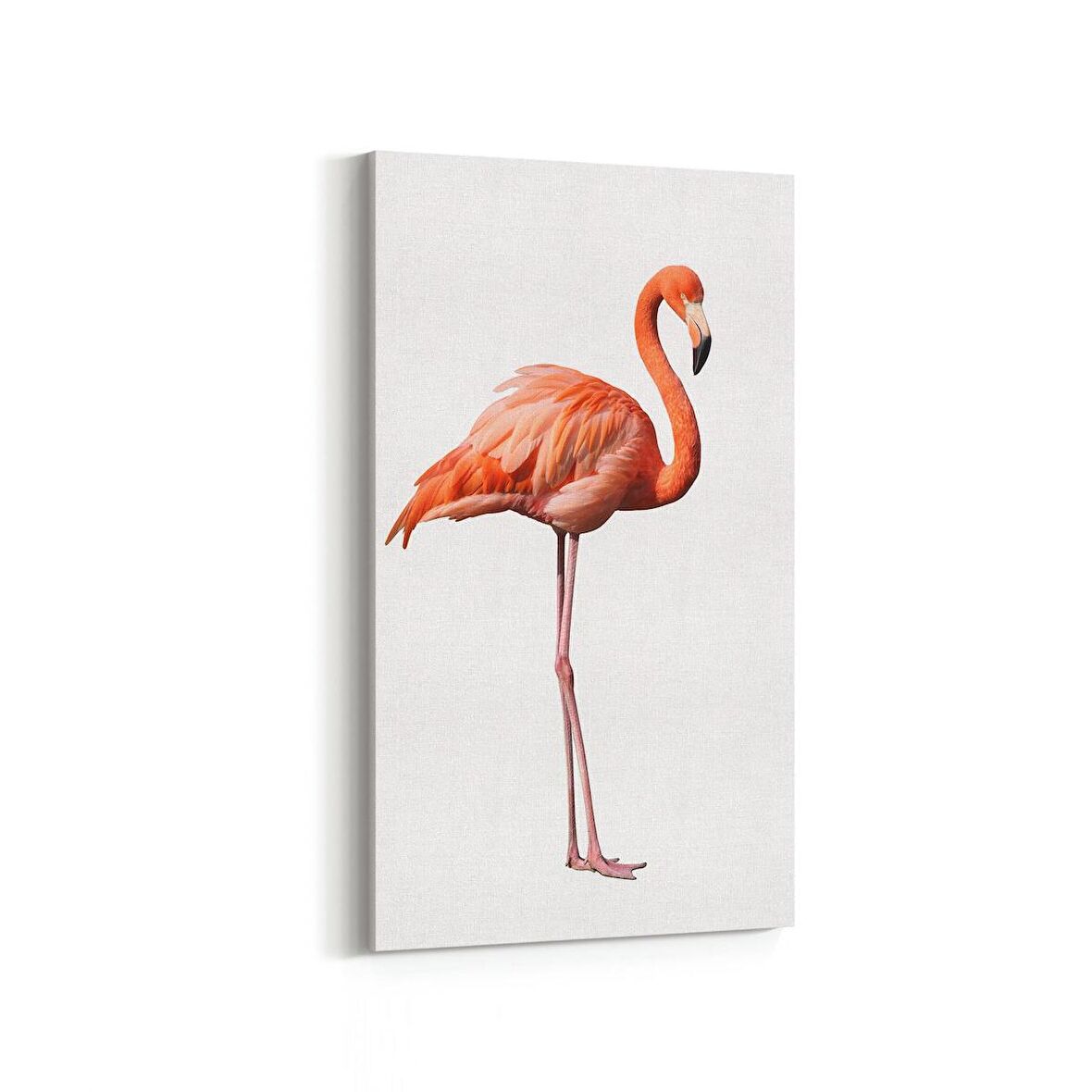 Olla 12631DD Hayvanlar Alemi Görseli Dikey Dar Kanvas Tablo (Ölçü: 60X120)