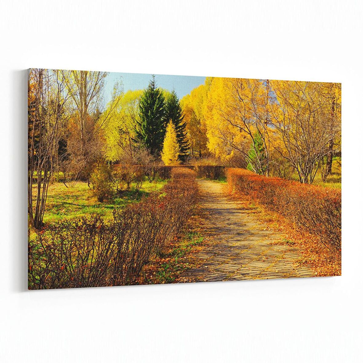 Olla 13235Y Doğa / Manzara Görseli Yatay Kanvas Tablo (Ölçü: 45X30)