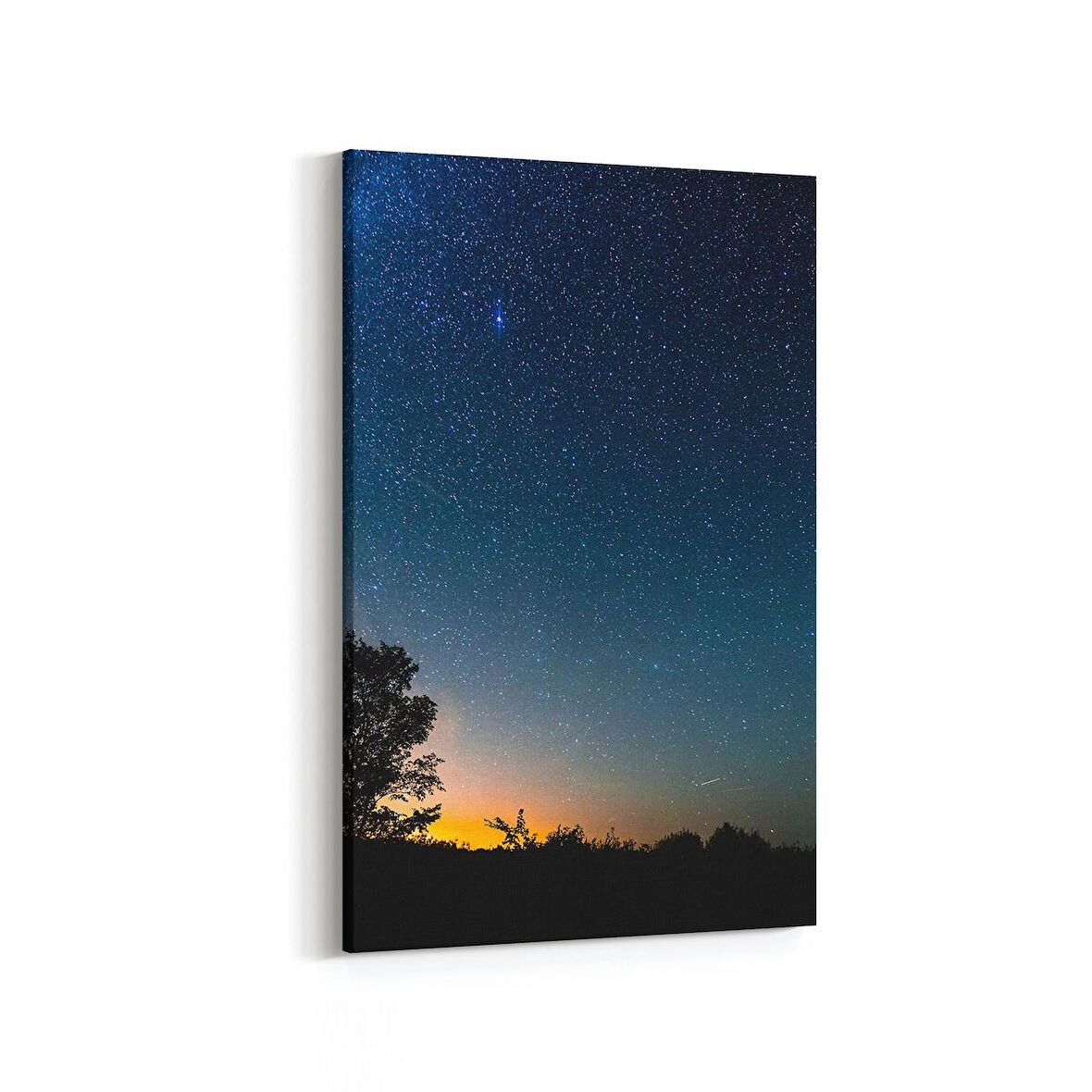 Olla 13731D Doğa / Manzara Görseli Dikey Kanvas Tablo (Ölçü: 60X90)
