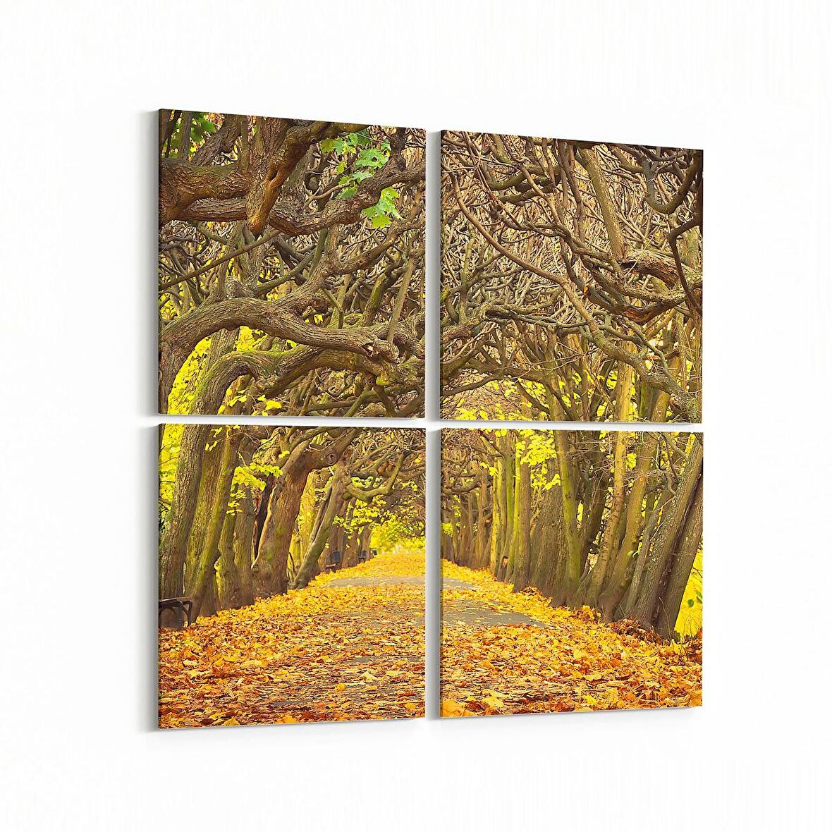 Olla 13366K4 Doğa / Manzara Görseli Kare 4'lü Kanvas Tablo (Ölçü: 145X145)