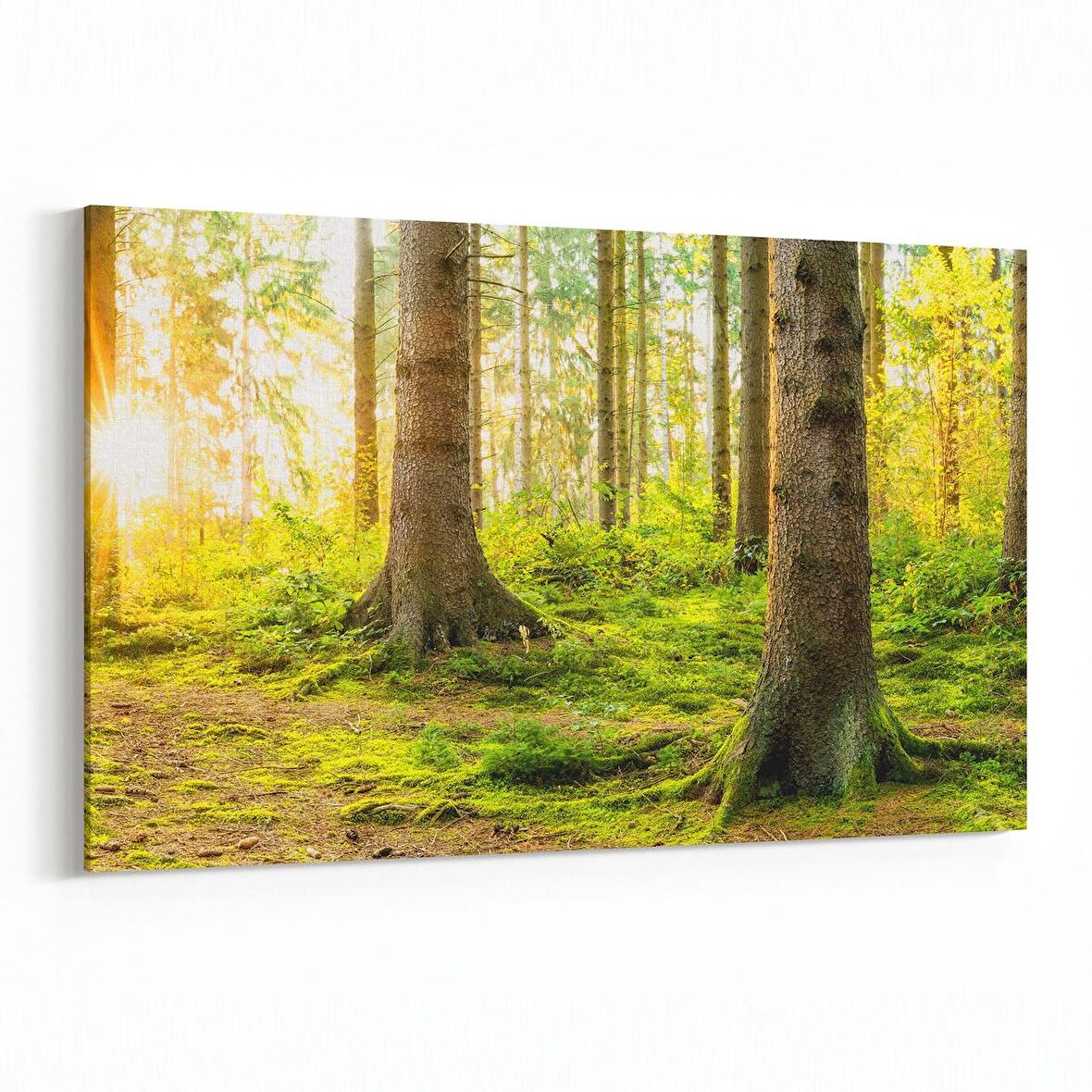 Olla 14532Y Doğa / Manzara Görseli Yatay Kanvas Tablo (Ölçü: 30X20)