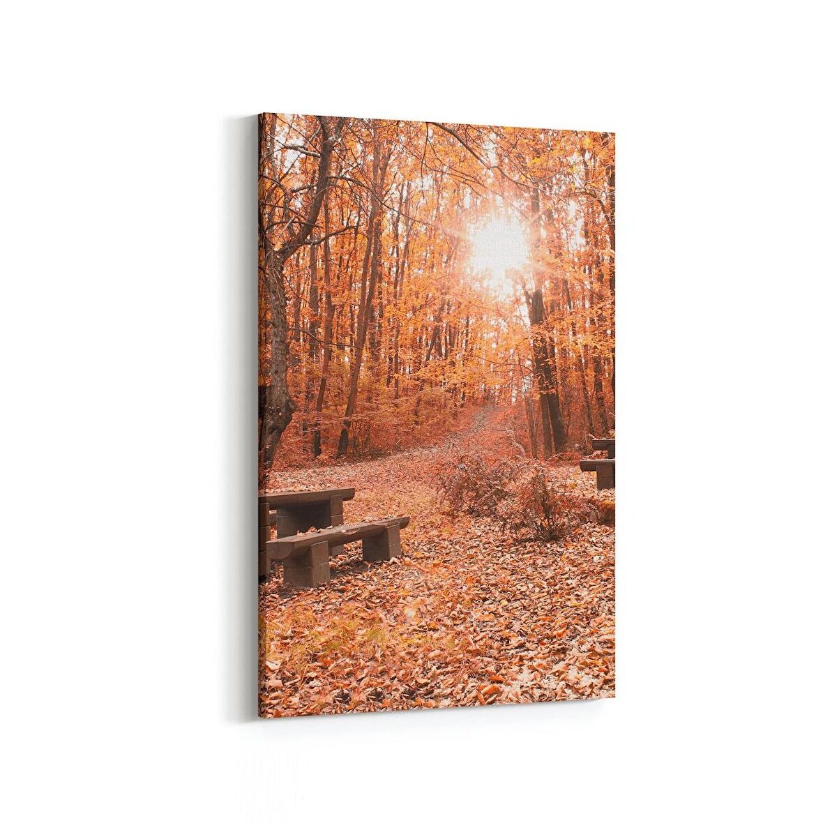 Olla 14308D Doğa / Manzara Görseli Dikey Kanvas Tablo (Ölçü: 100X150)