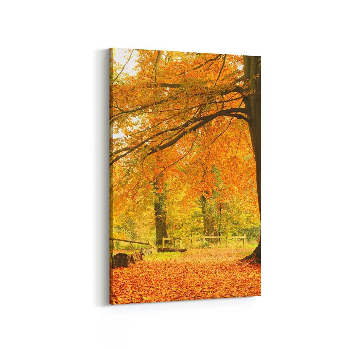 Olla 14331D Doğa / Manzara Görseli Dikey Kanvas Tablo (Ölçü: 60X90)