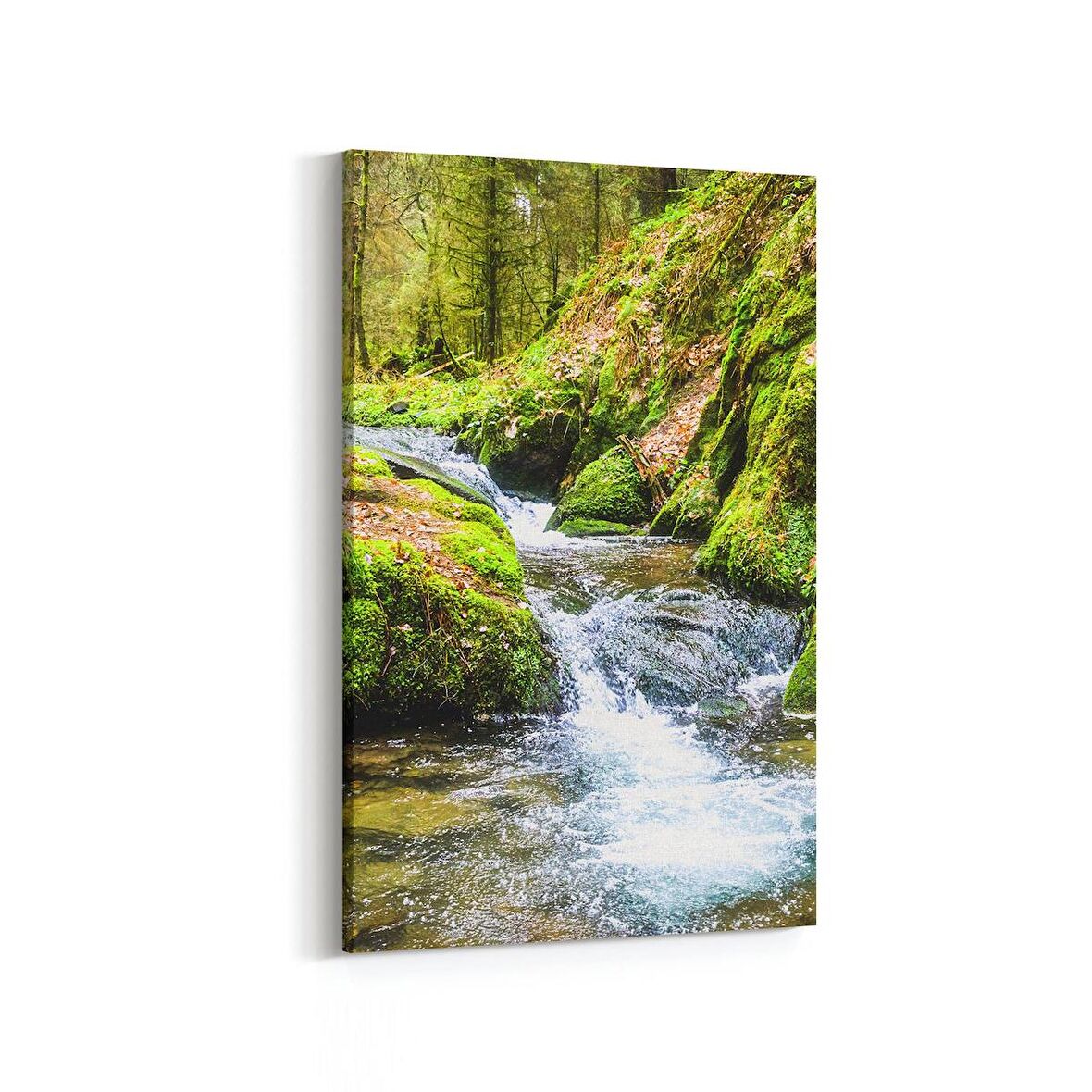 Olla 14314D Doğa / Manzara Görseli Dikey Kanvas Tablo (Ölçü: 60X90)