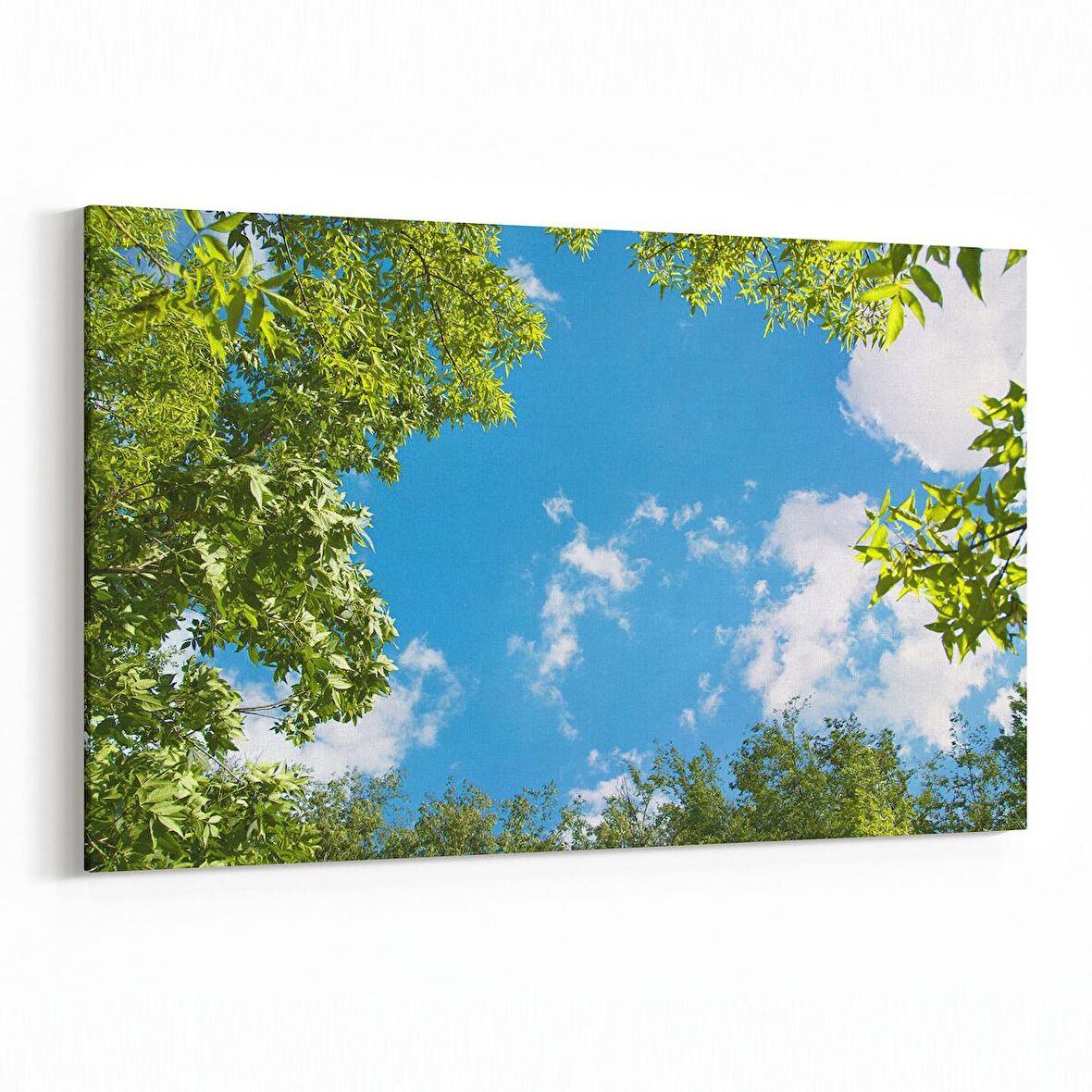 Olla 10528Y Ağaç Görseli Yatay Kanvas Tablo (Ölçü: 45X30)