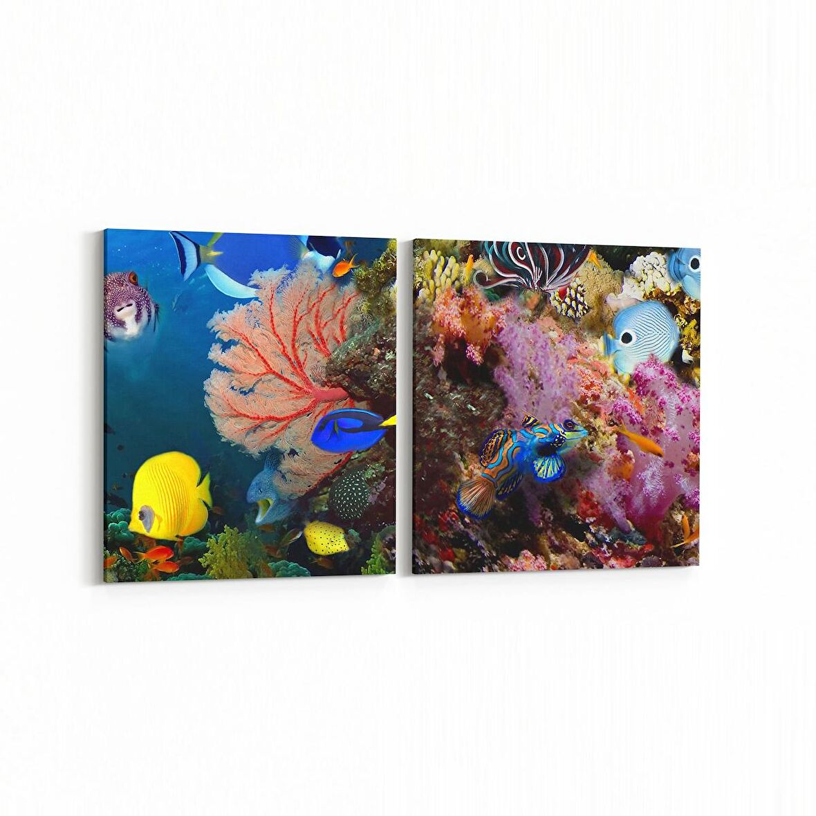Olla 12109K2Y Akvaryum / Balık Görseli Kare 2'li Yatay Kanvas Tablo (Ölçü: 105X50)