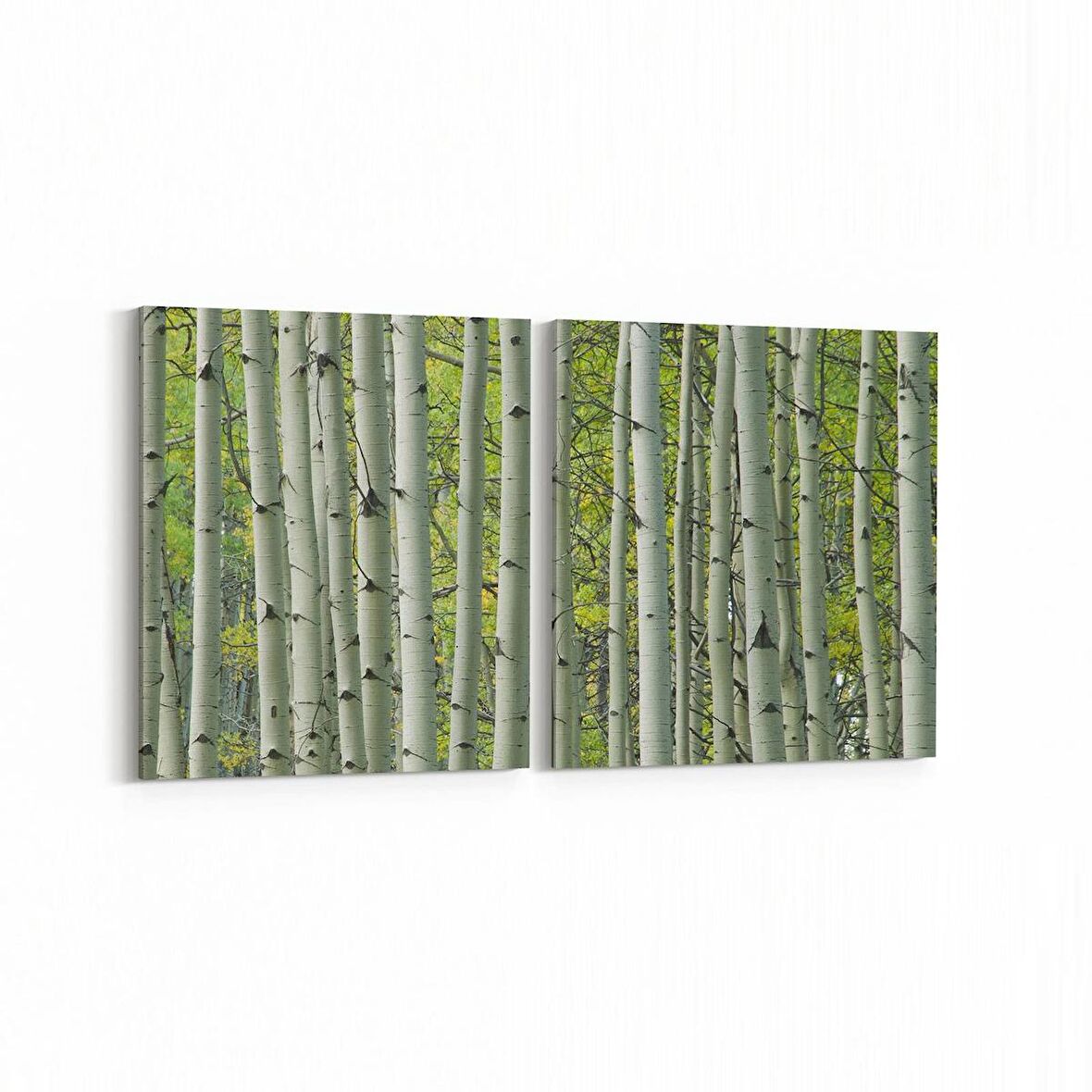 Olla 13468K2Y Doğa / Manzara Görseli Kare 2'li Yatay Kanvas Tablo (Ölçü: 125X60)