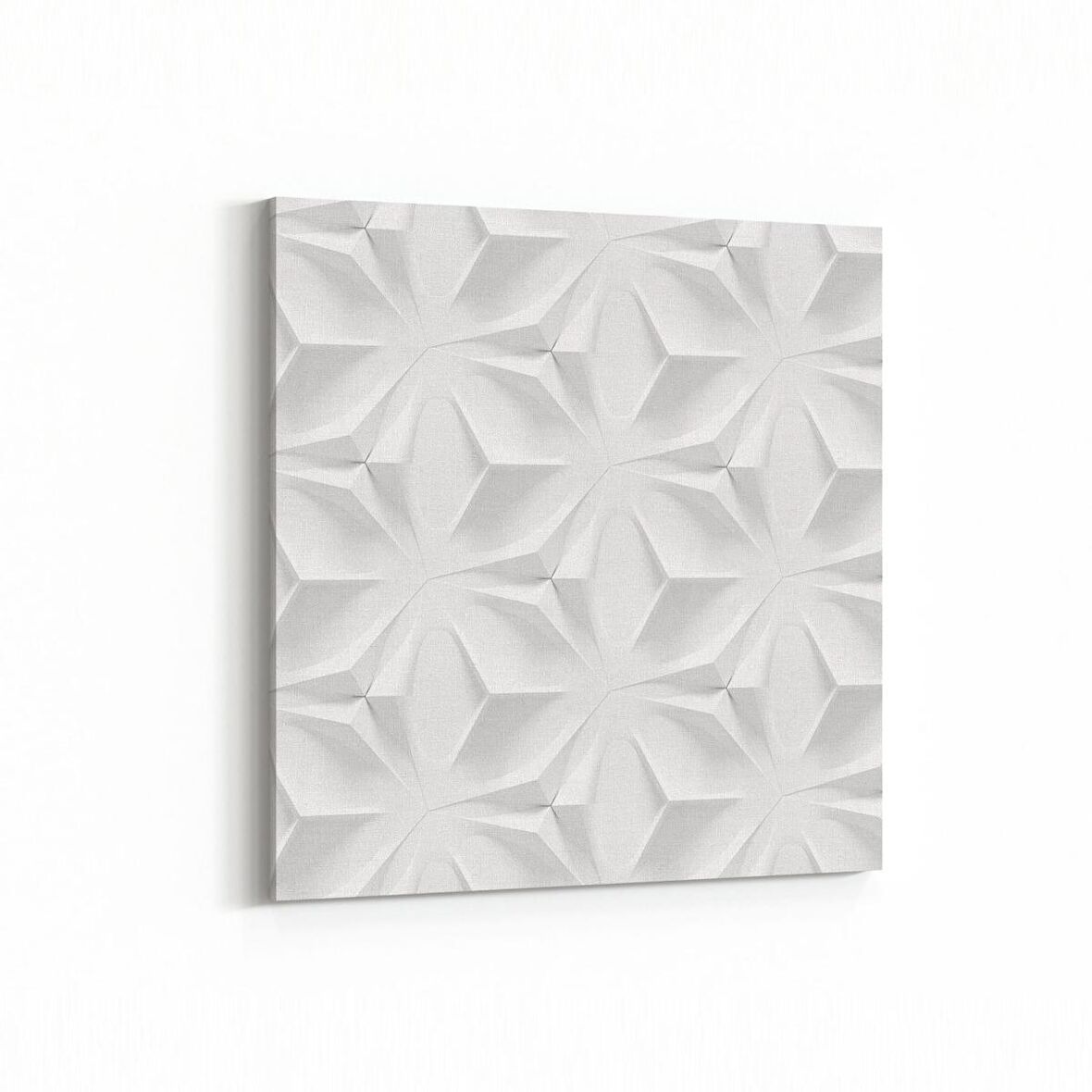 Olla 10459K Beyaz Kabartma Görseli Kare Kanvas Tablo (Ölçü: 25X25)