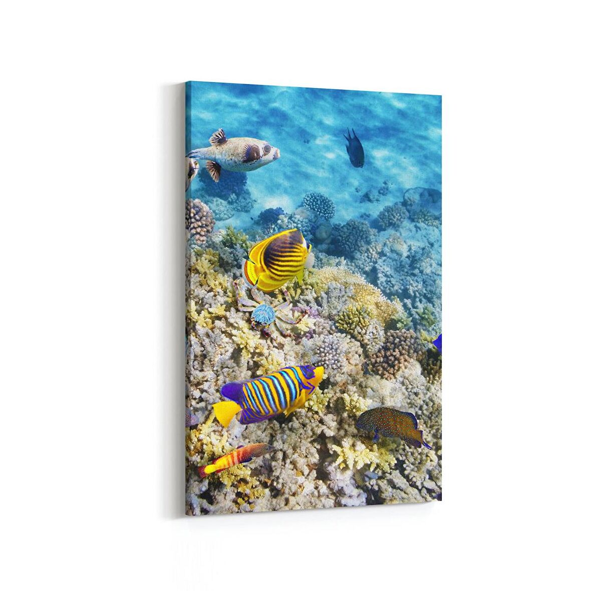 Olla 12127D Akvaryum / Balık Görseli Dikey Kanvas Tablo (Ölçü: 100X150)