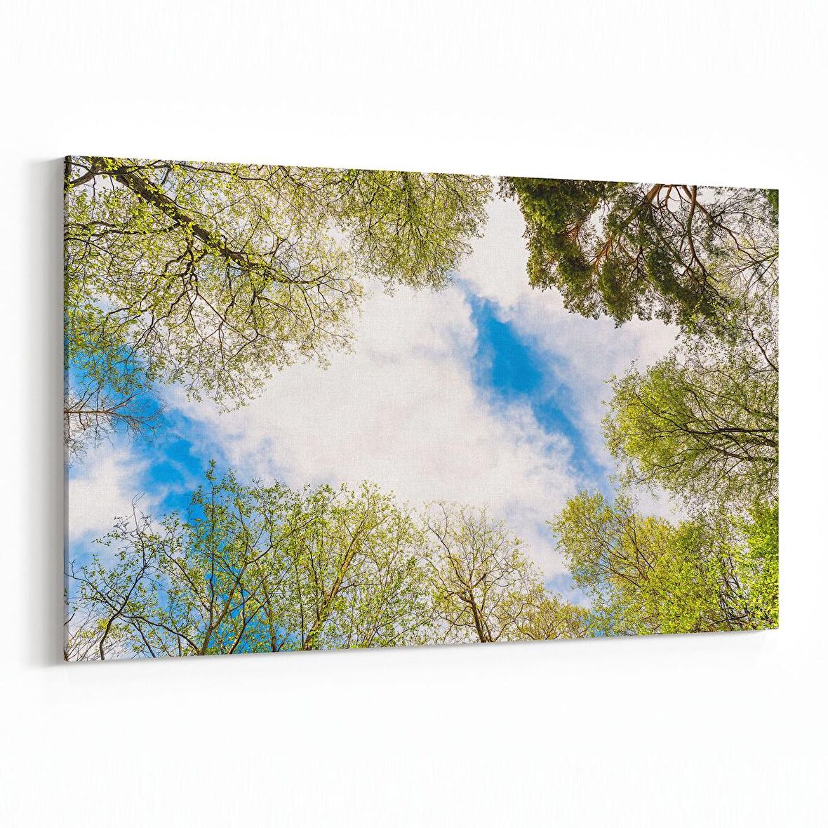 Olla 10868Y Ağaç Görseli Yatay Kanvas Tablo (Ölçü: 90X60)