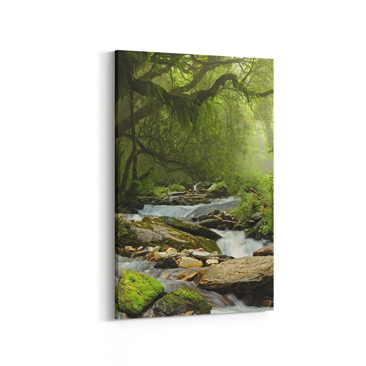 Olla 13789D Doğa / Manzara Görseli Dikey Kanvas Tablo (Ölçü: 100X150)