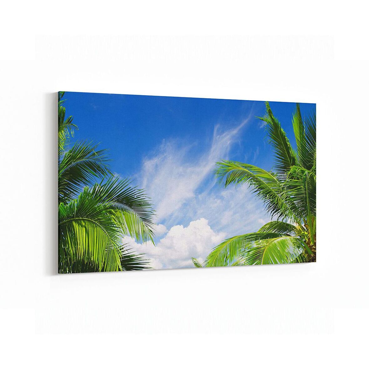 Olla 11515Y Palmiye Ağacı Görseli Yatay Kanvas Tablo (Ölçü: 70X50)