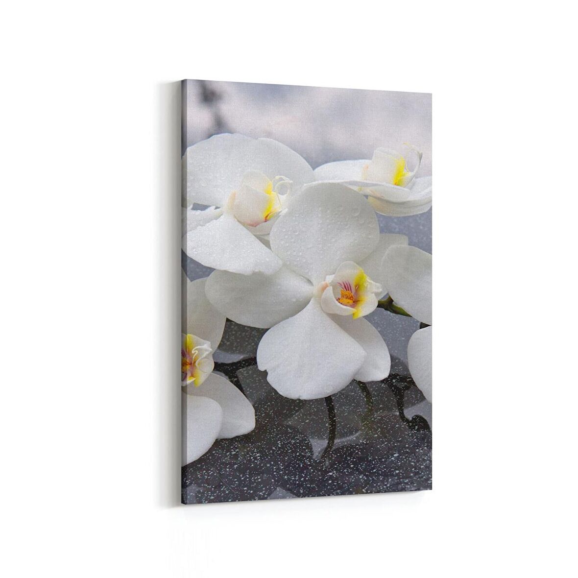 Olla 17099D Spa / Masaj Görseli Dikey Kanvas Tablo (Ölçü: 40X60)