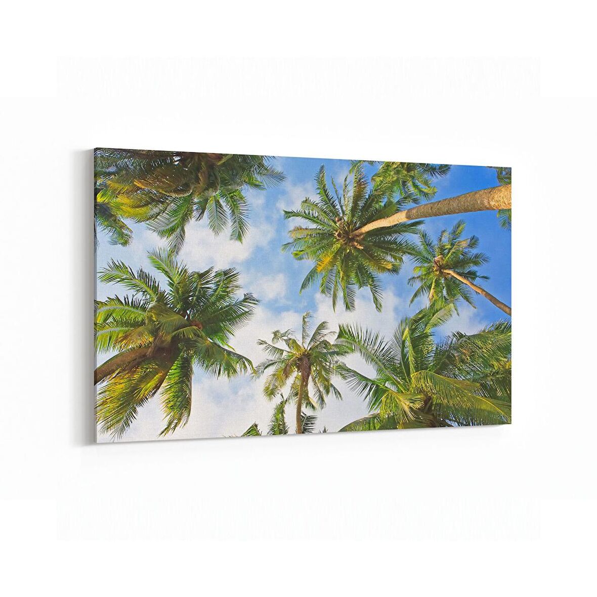 Olla 11501Y Palmiye Ağacı Görseli Yatay Kanvas Tablo (Ölçü: 150X100)