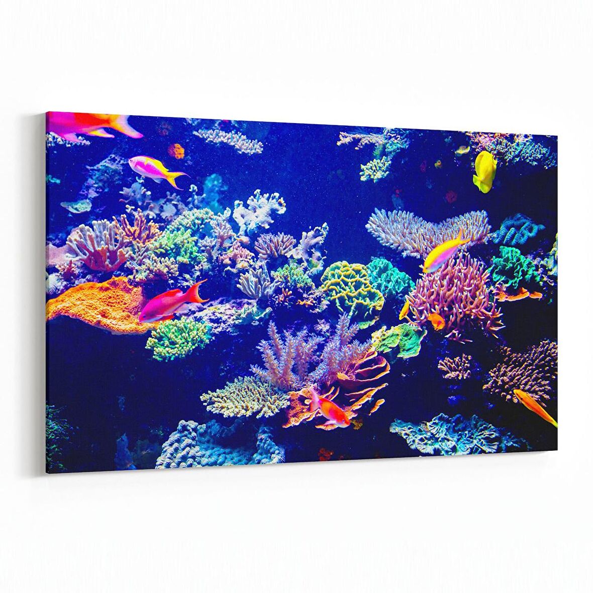 Olla 12119Y Akvaryum / Balık Görseli Yatay Kanvas Tablo (Ölçü: 150X100)