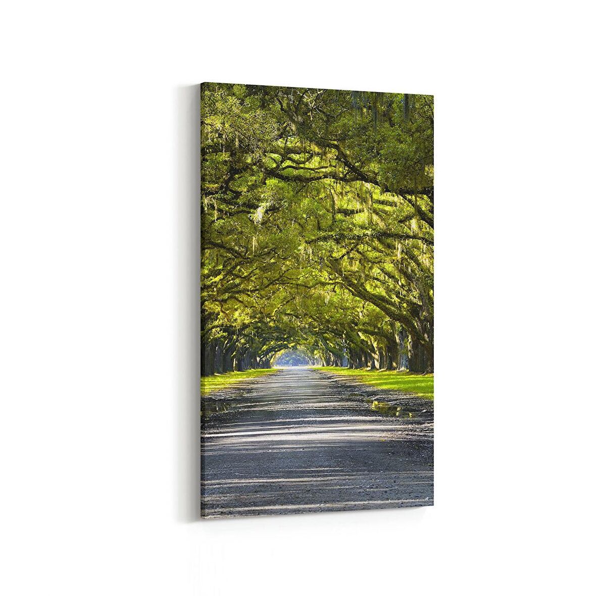 Olla 13976DD Doğa / Manzara Görseli Dikey Dar Kanvas Tablo (Ölçü: 40X80)