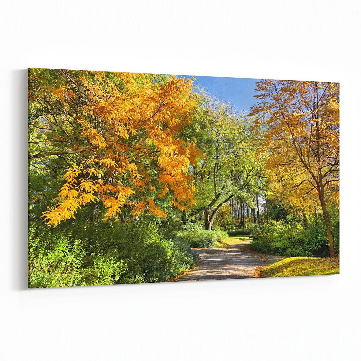 Olla 13272Y Doğa / Manzara Görseli Yatay Kanvas Tablo (Ölçü: 90X60)