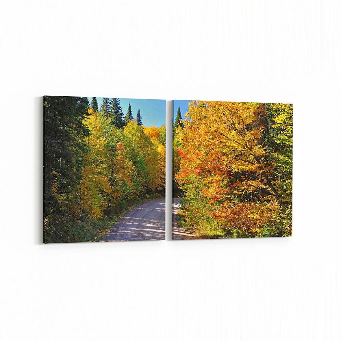 Olla 14015K2Y Doğa / Manzara Görseli Kare 2'li Yatay Kanvas Tablo (Ölçü: 145X70)