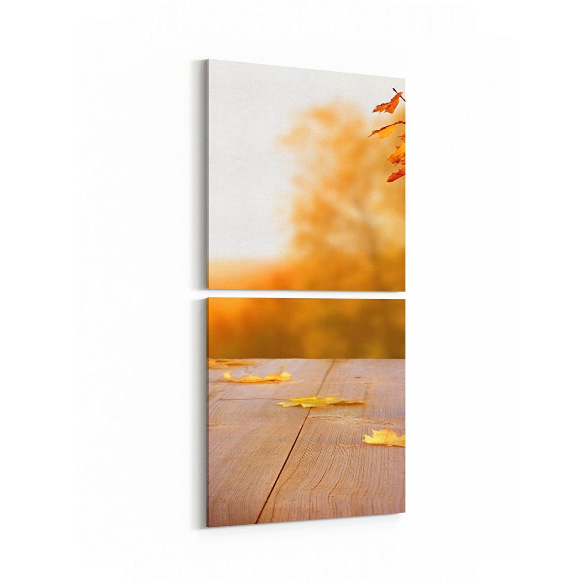 Olla 13512K2D Doğa / Manzara Görseli Kare 2'li Dikey Kanvas Tablo (Ölçü: 30X65)