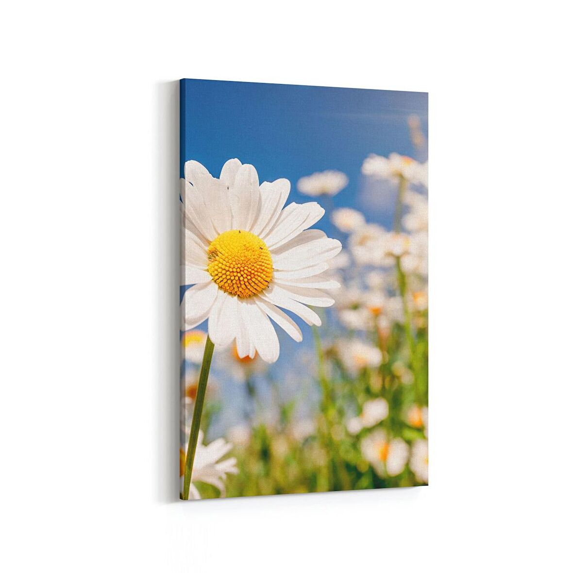Olla 13543D Doğa / Manzara Görseli Dikey Kanvas Tablo (Ölçü: 60X90)
