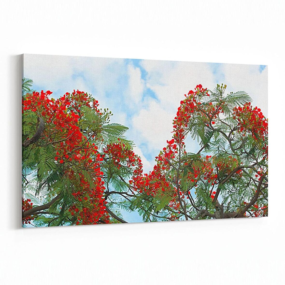 Olla 10596Y Ağaç Görseli Yatay Kanvas Tablo (Ölçü: 70X50)