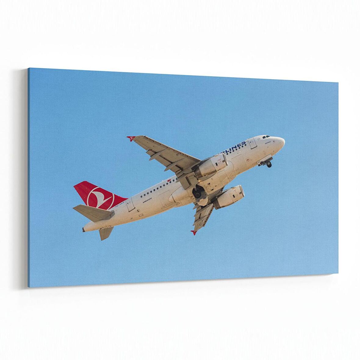 Olla 12333Y Araç Görseli Yatay Kanvas Tablo (Ölçü: 70X50)