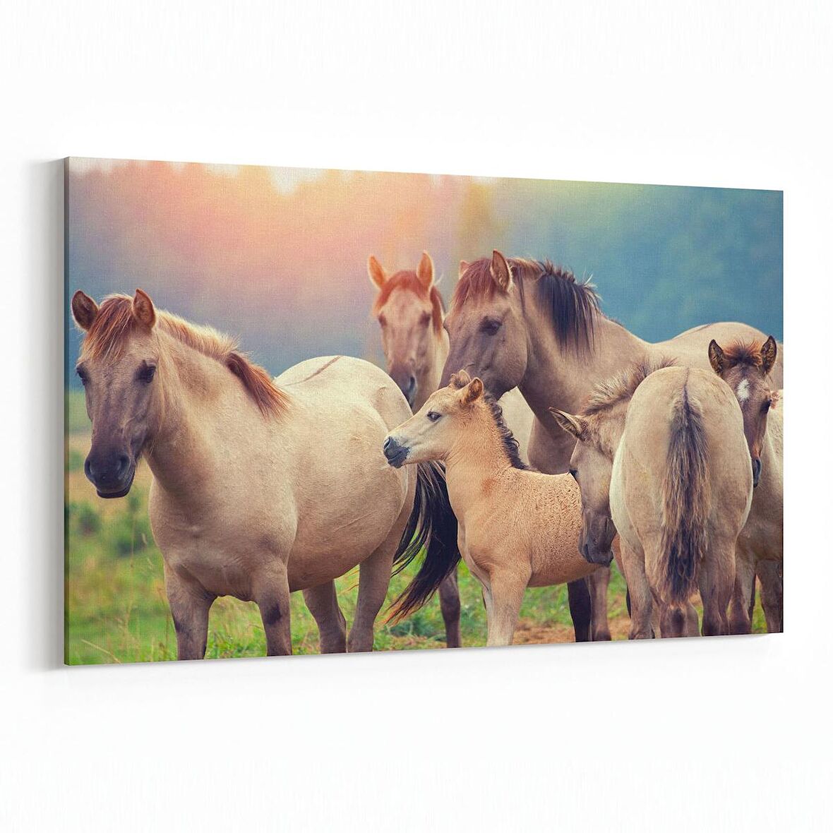 Olla 12573Y Hayvanlar Alemi Görseli Yatay Kanvas Tablo (Ölçü: 70X50)